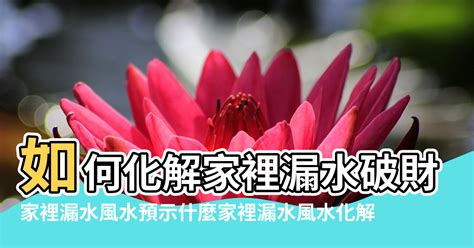 家裡漏水風水 月破結婚